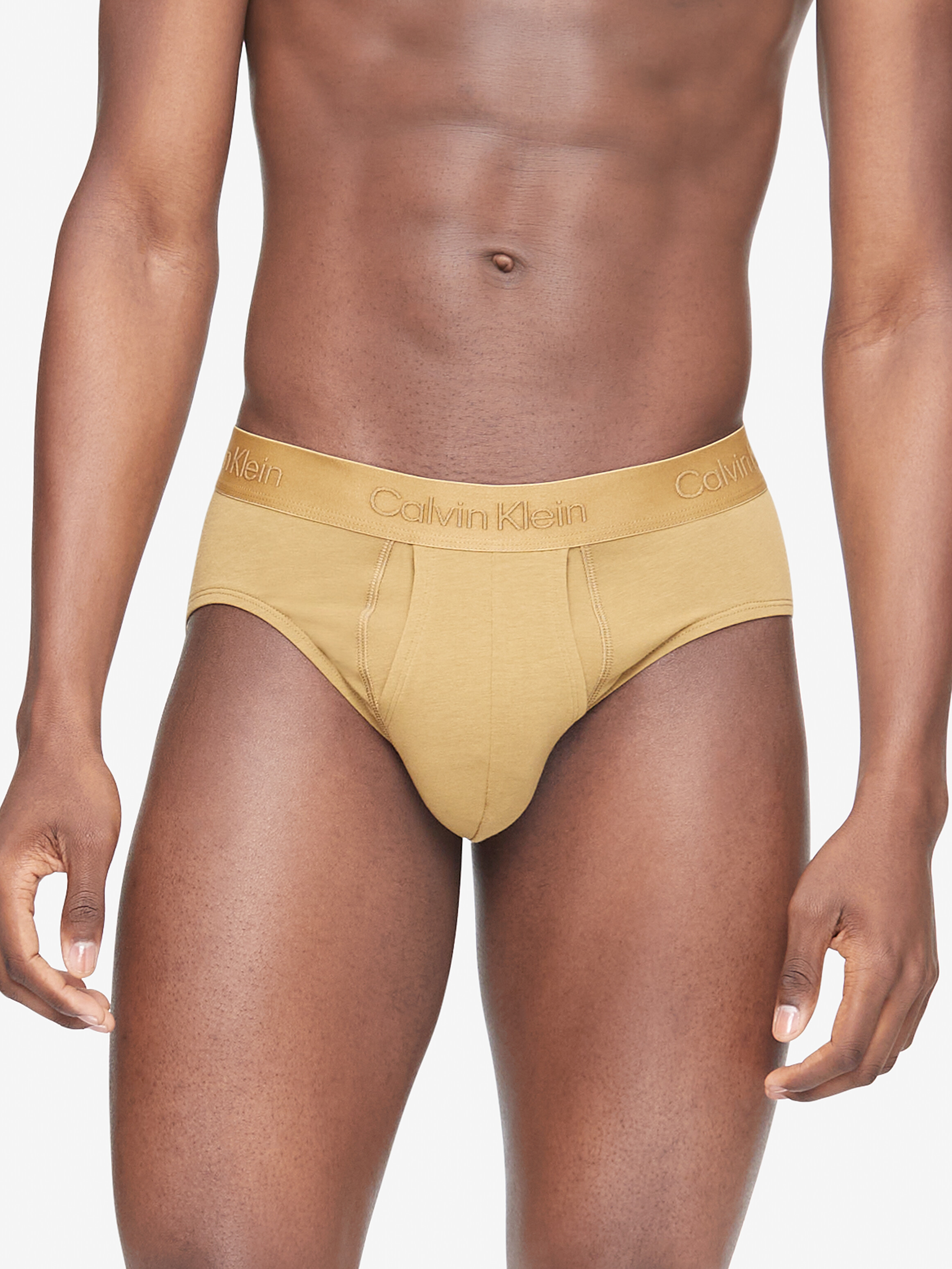 brief calvin klein