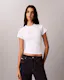 Script Monologo Baby Tee