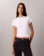 Script Monologo Baby Tee
