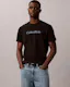 Dimensional Standard Logo Graphic Classic T-Shirt