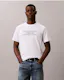 Compact Standard Logo Graphic Relaxed T-Shirt