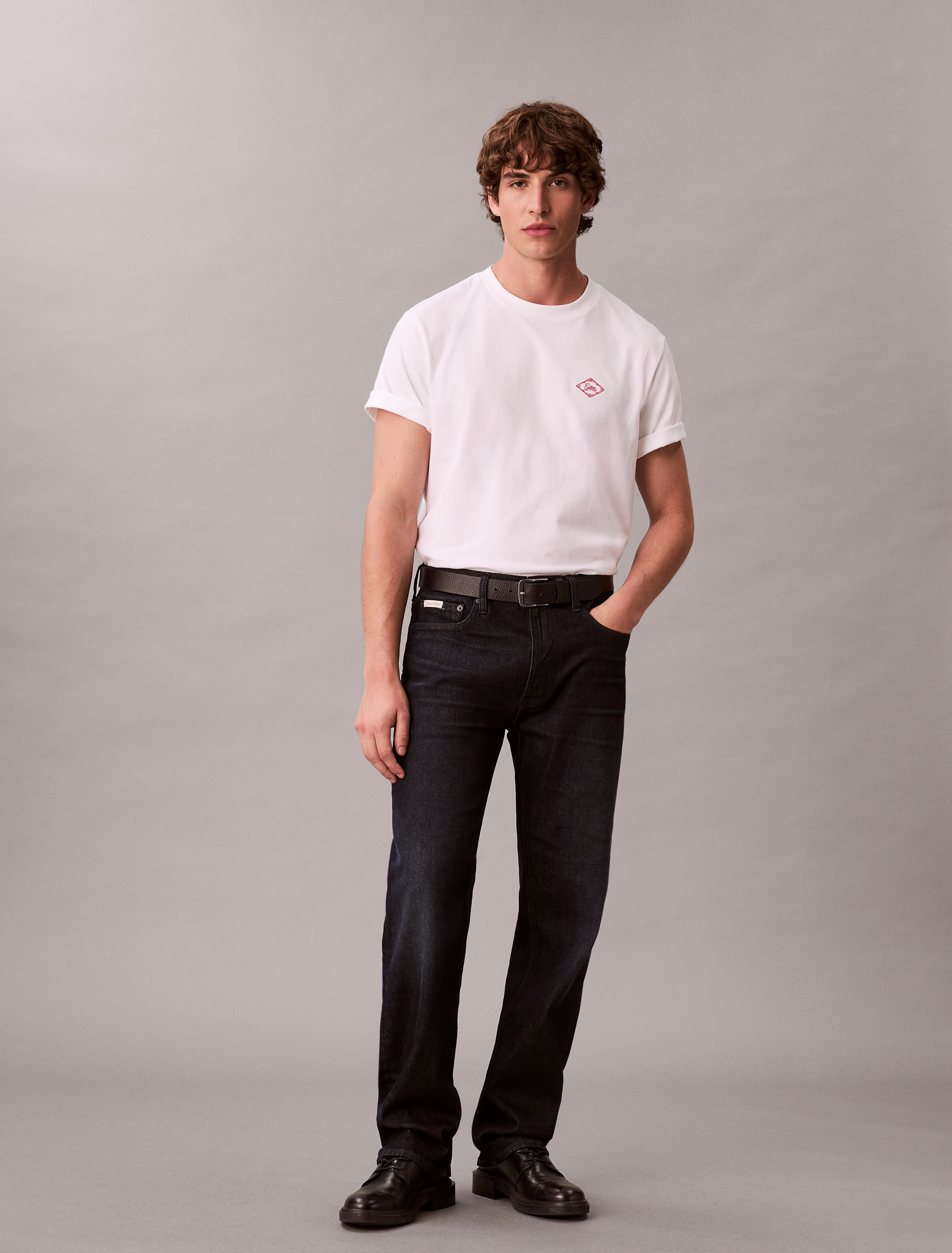 Standard Straight Fit Jeans