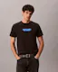 Washed Compact Logo Graphic Classic T-Shirt