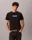 Washed Compact Logo Graphic Classic T-Shirt