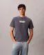 Washed Compact Logo Graphic Classic T-Shirt