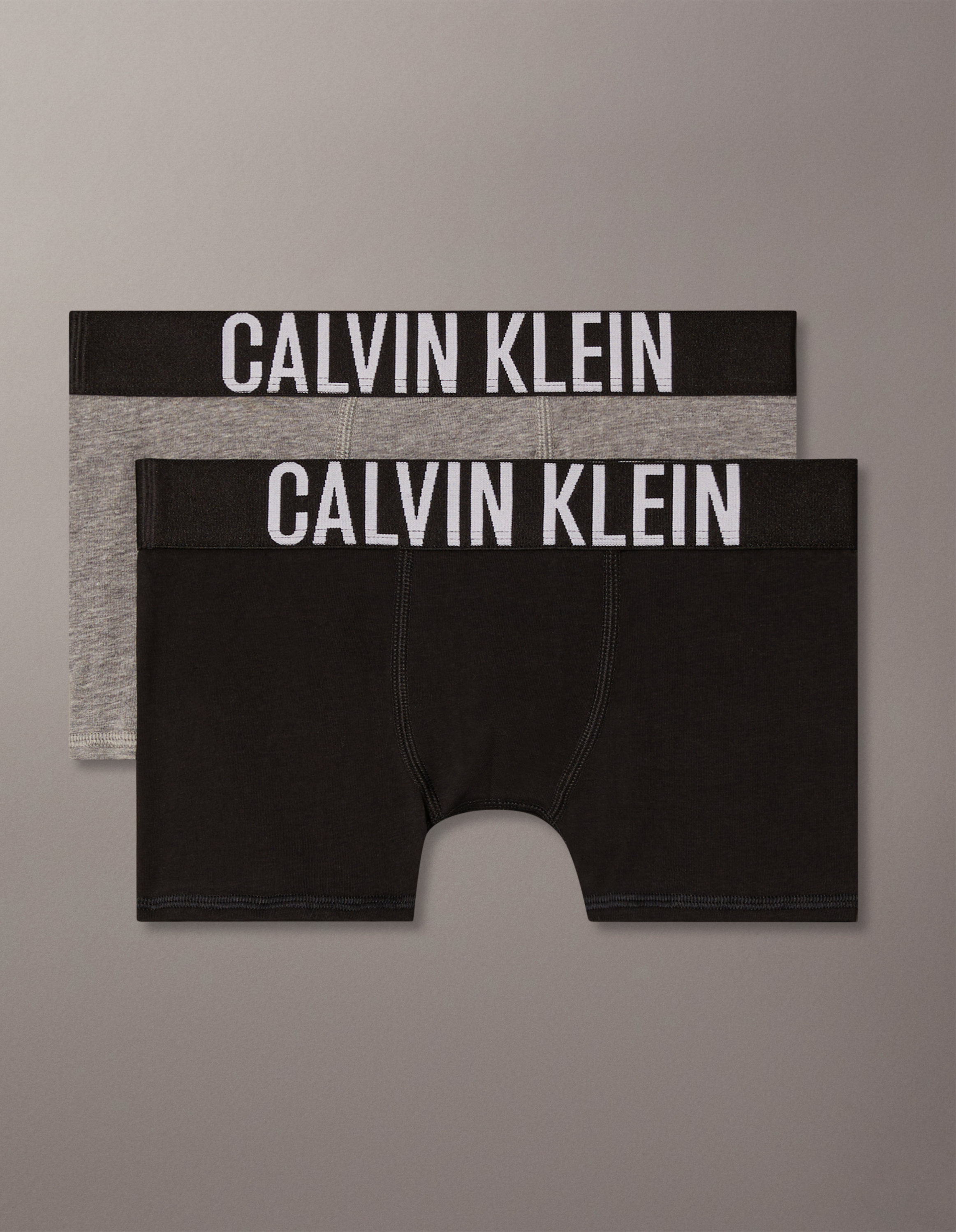 Intense Power 2 Pack Boys Trunks