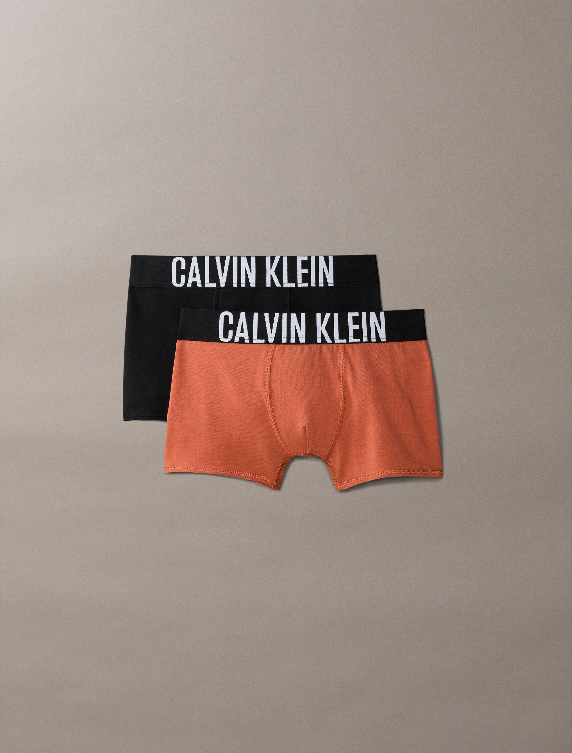 Intense Power 2 Pack Boys Trunks