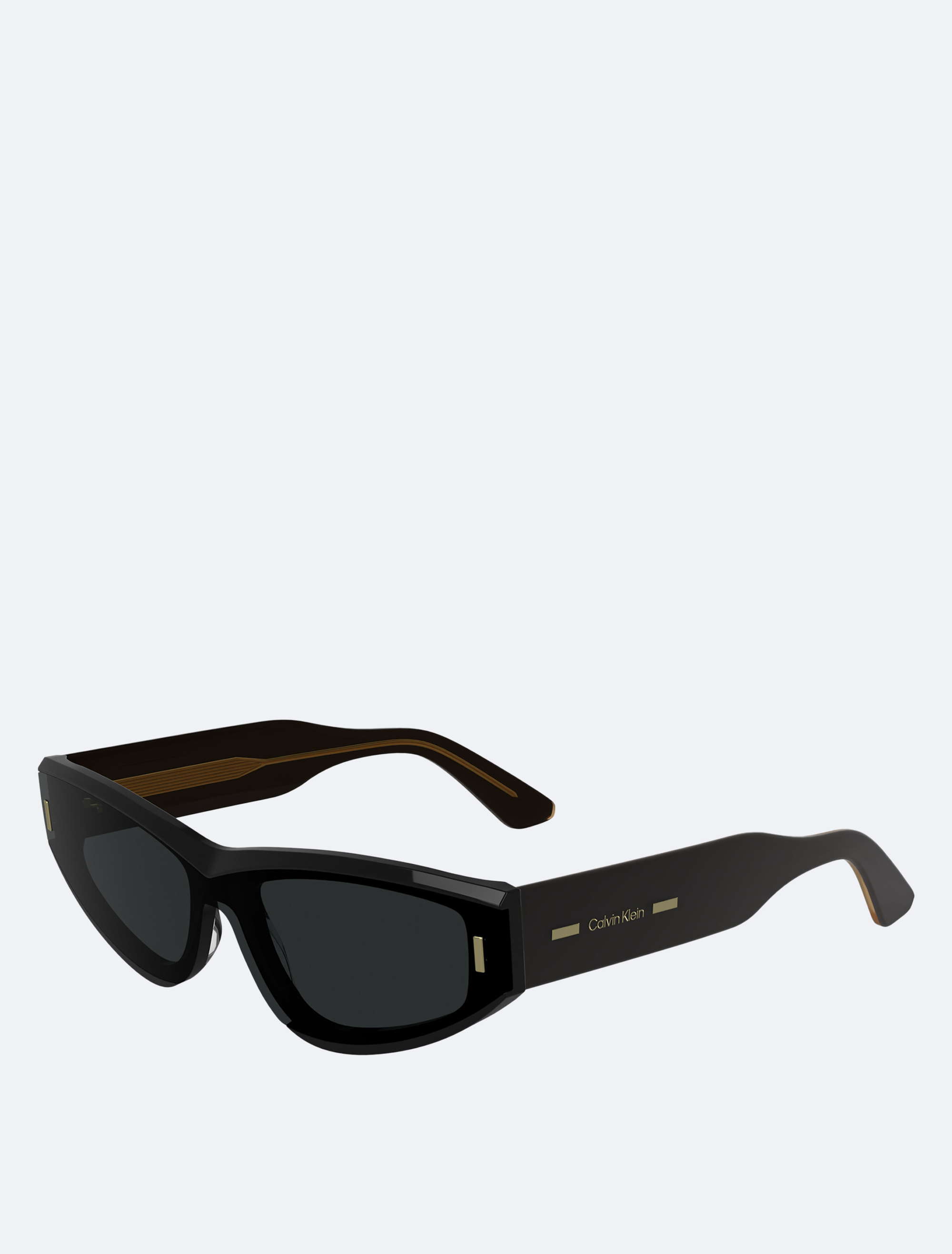 Cat Eye Sunglasses | Calvin Klein display picture 2
