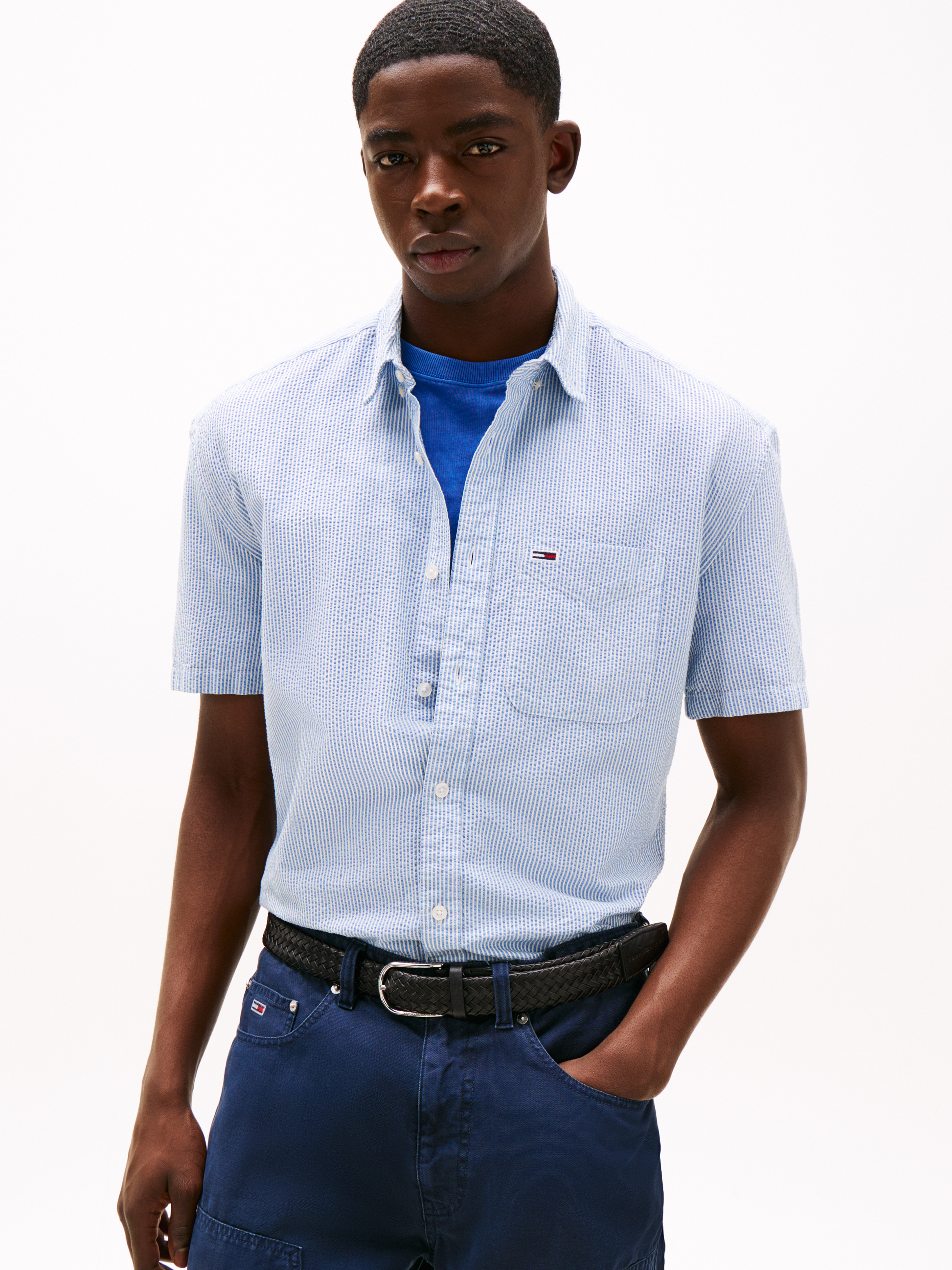 Regular Fit Stripe Short Sleeve Shirt