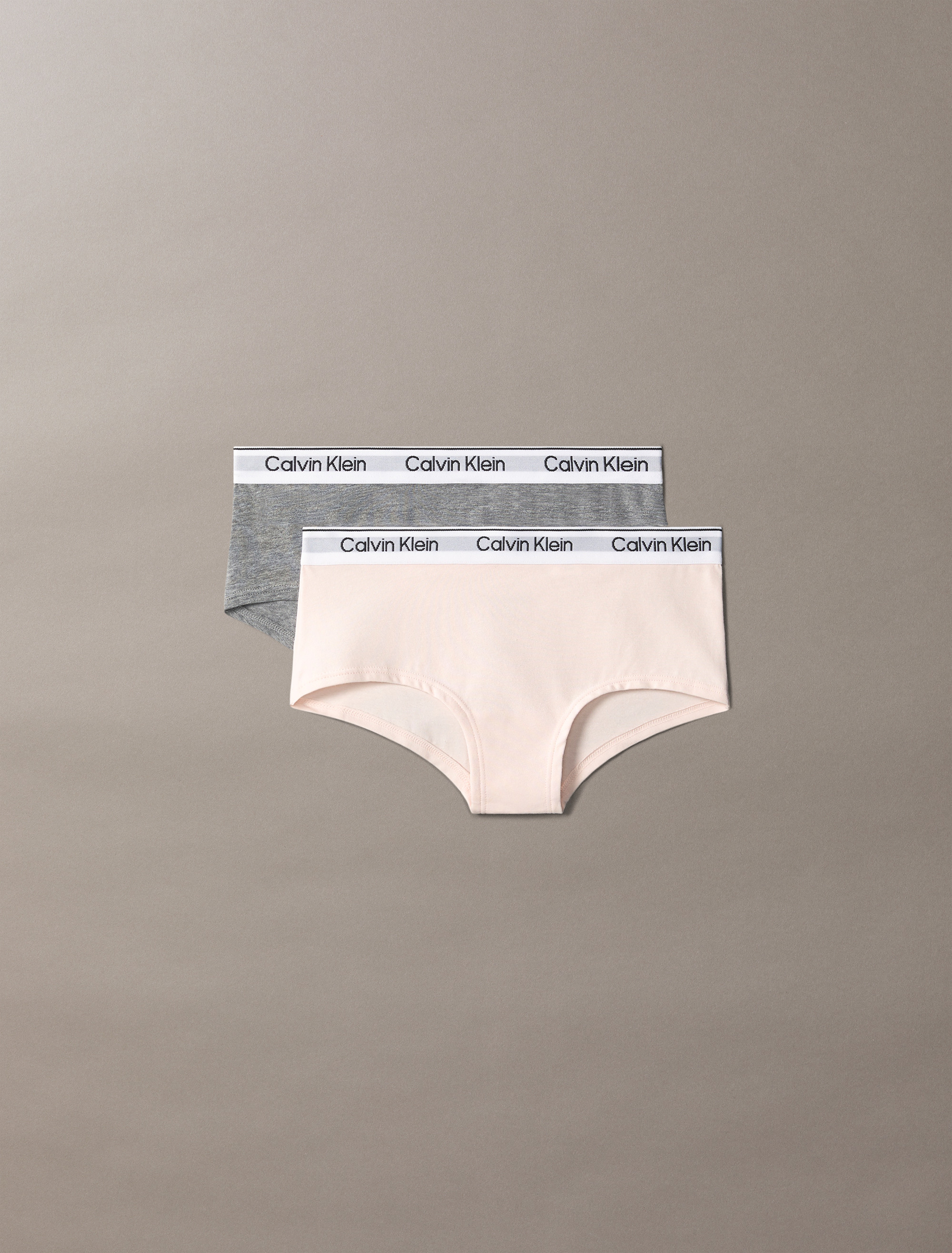 Icon Cotton Stretch 2 Pack Girls Hipster Panties