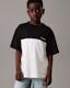Boys Oversized Colourblock T-Shirt