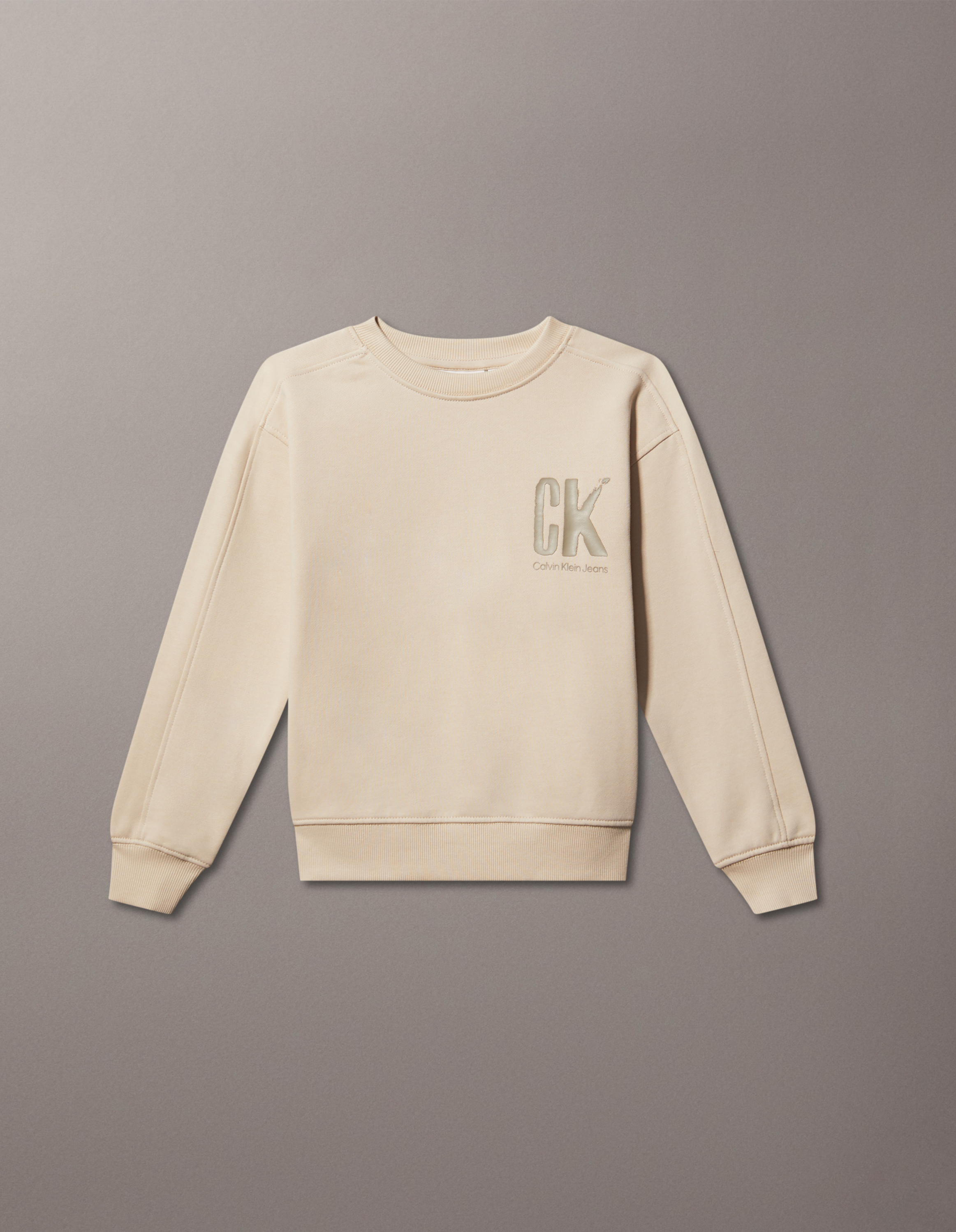 Boys Relaxed Back Graphic Sweatshirt