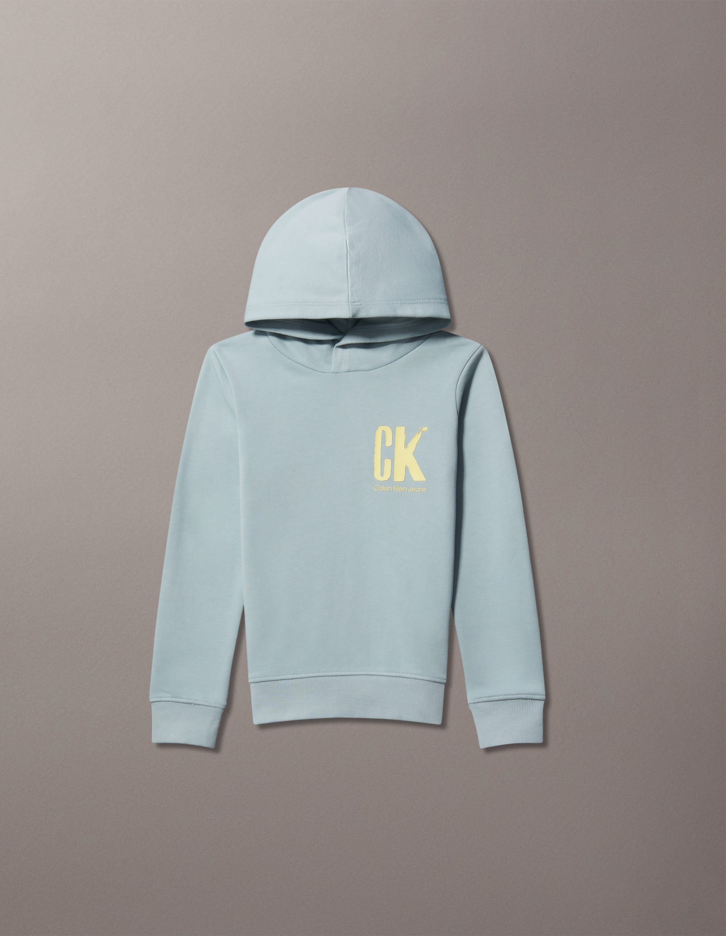 Boys Relaxed Logo Hoodie