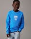 Boys Logo Sweatshirt