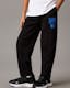 Boys Relaxed Terry Pintuck Joggers