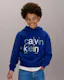 Boys Logo Hoodie