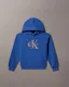 Boys Oversized Logo Hoodie