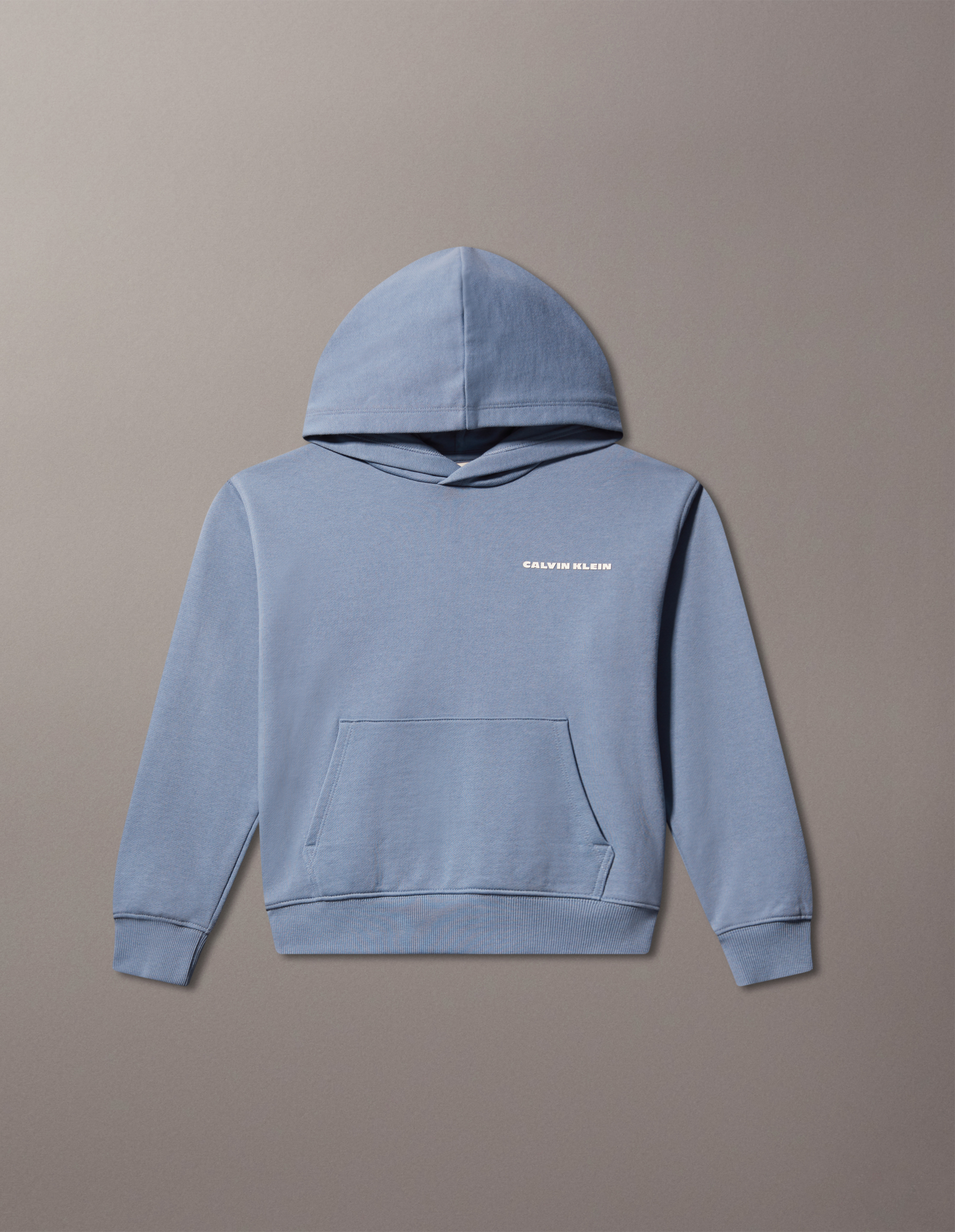 Boys Relaxed Backprint Logo Hoodie