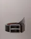 Essential Belt