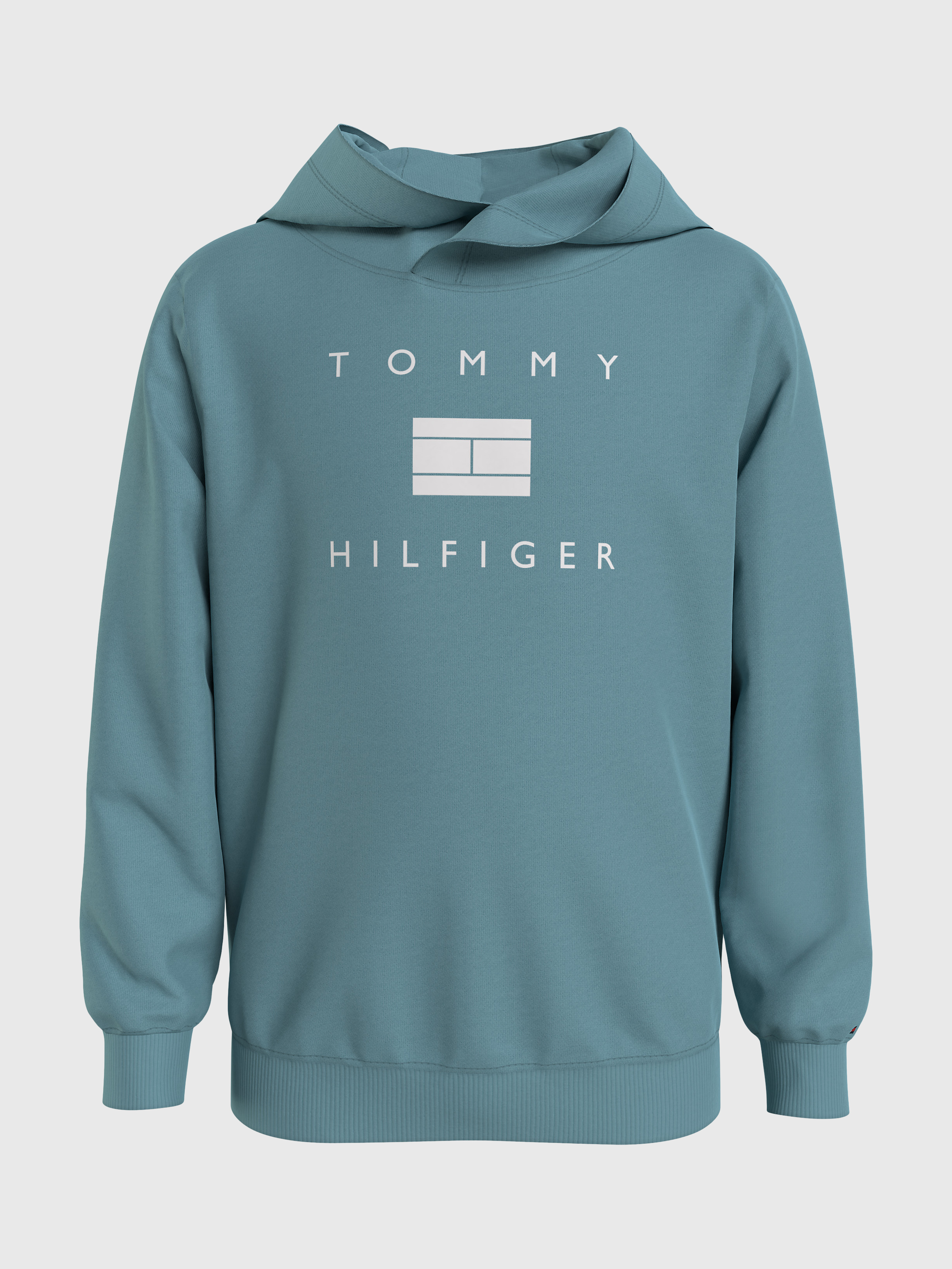 tommy hilfiger hoodie age 14