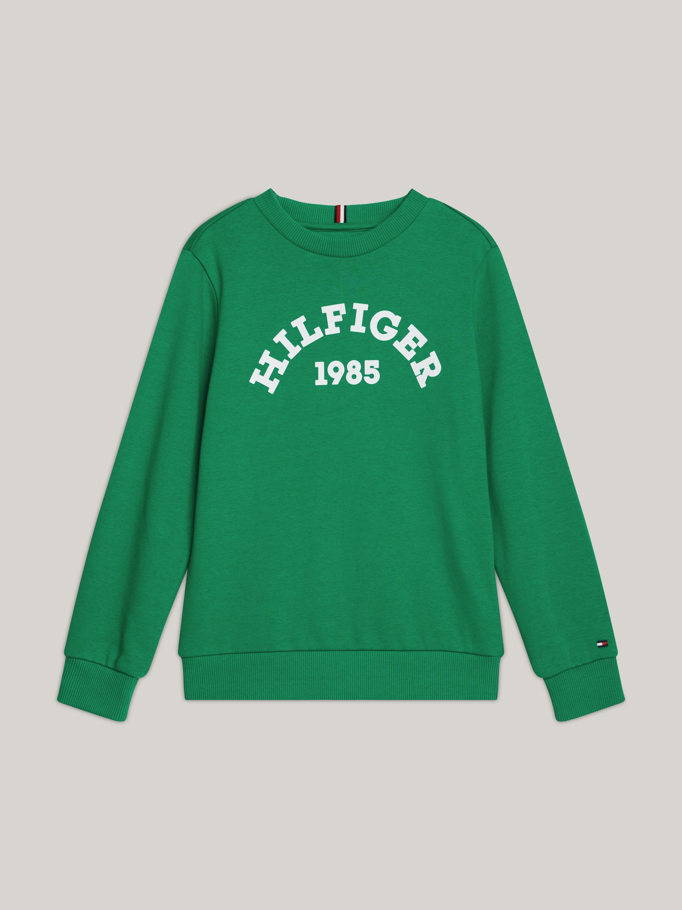 Boys 3-7 Hilfiger Monotype 1985 Collection Sweatshirt Boys 3-7 Hilfiger Monotype 1985 Collection Sweatshirt