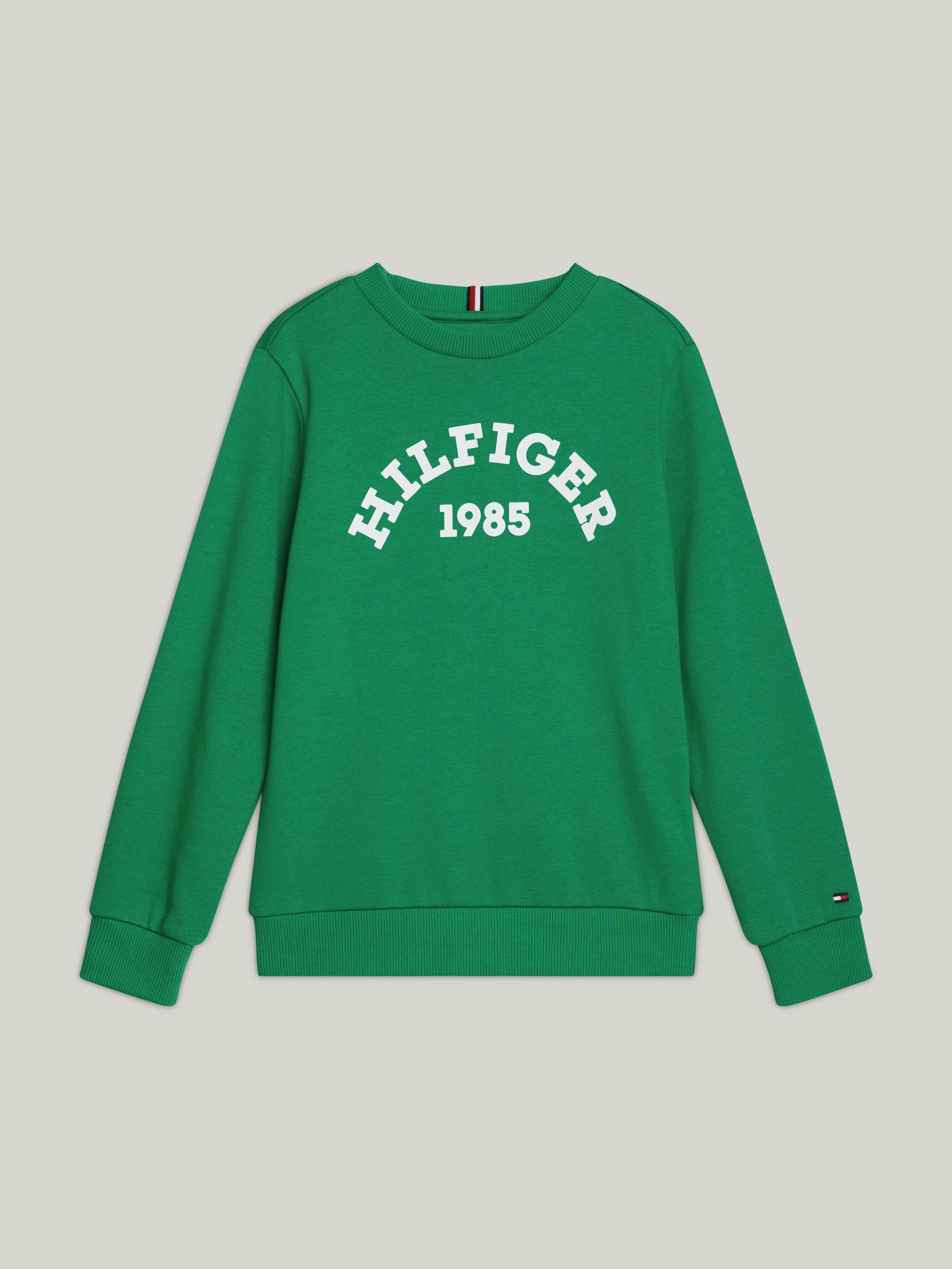 Boys 3-7 Hilfiger Monotype 1985 Collection Sweatshirt