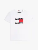 Boys 3-7 Wavy Flag Jersey Crew Neck T-Shirt