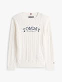 Boys 3-7 Logo Cable Knit Jumper
