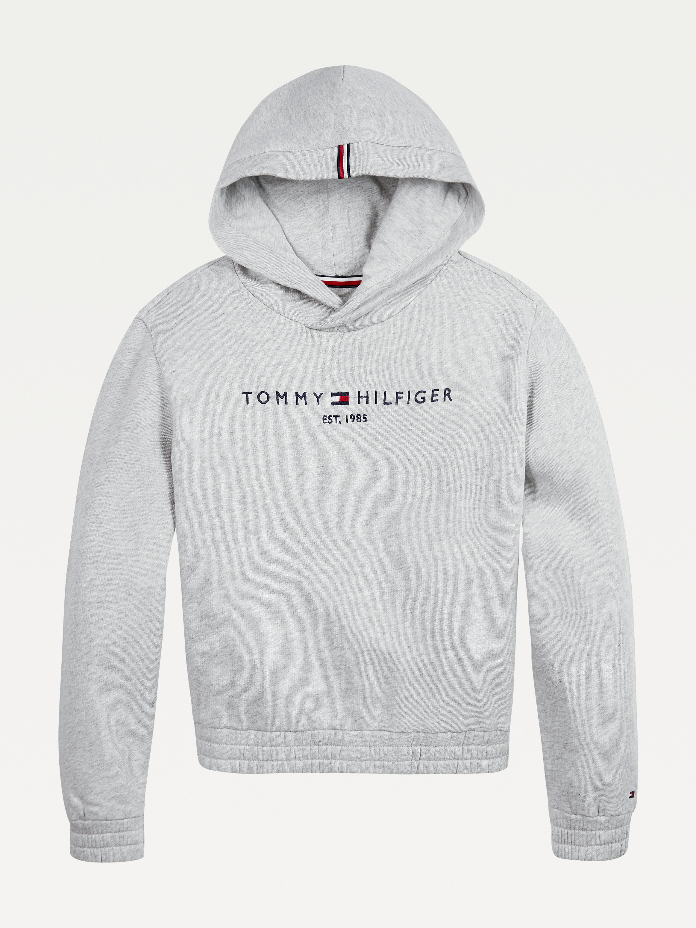 the iconic champion hoodie