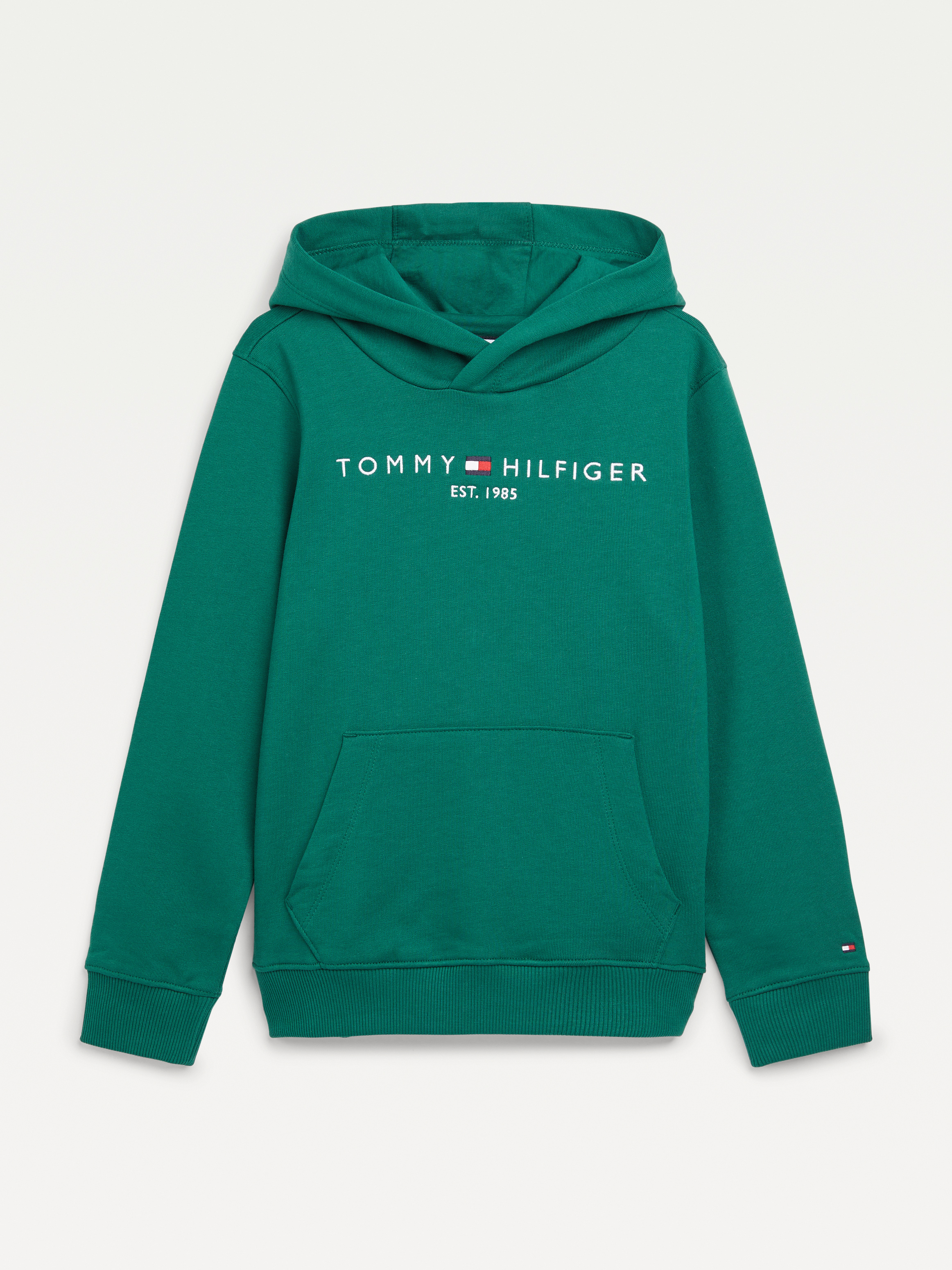 Tommy hilfiger hot sale hoodie colorful