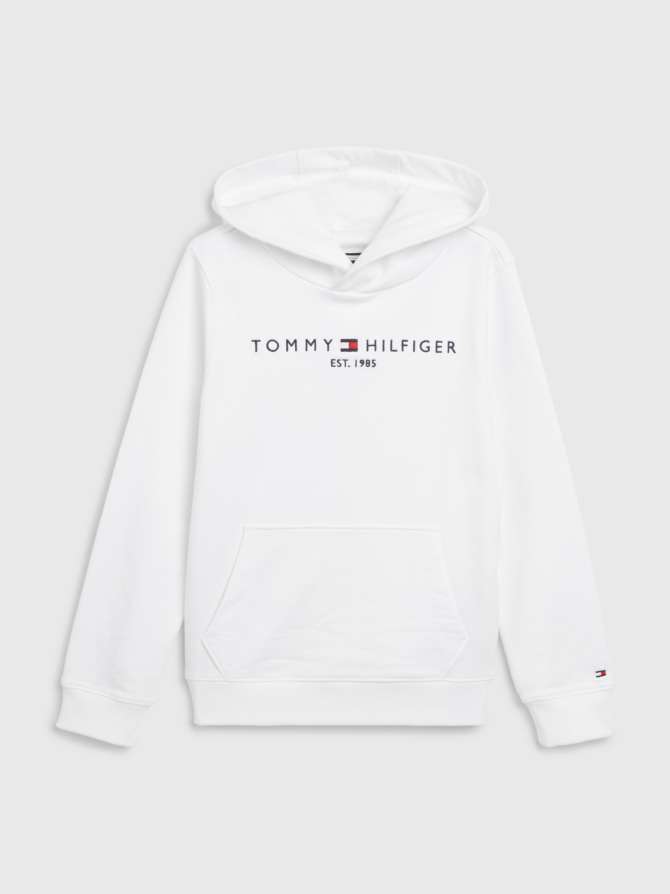 Children's tommy hilfiger hoodie sale