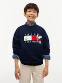 Kids Unisex 8-16 Peanuts Flag Graphic Embroidery Jumper