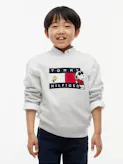 Kids Unisex 8-16 Peanuts Flag Graphic Embroidery Jumper