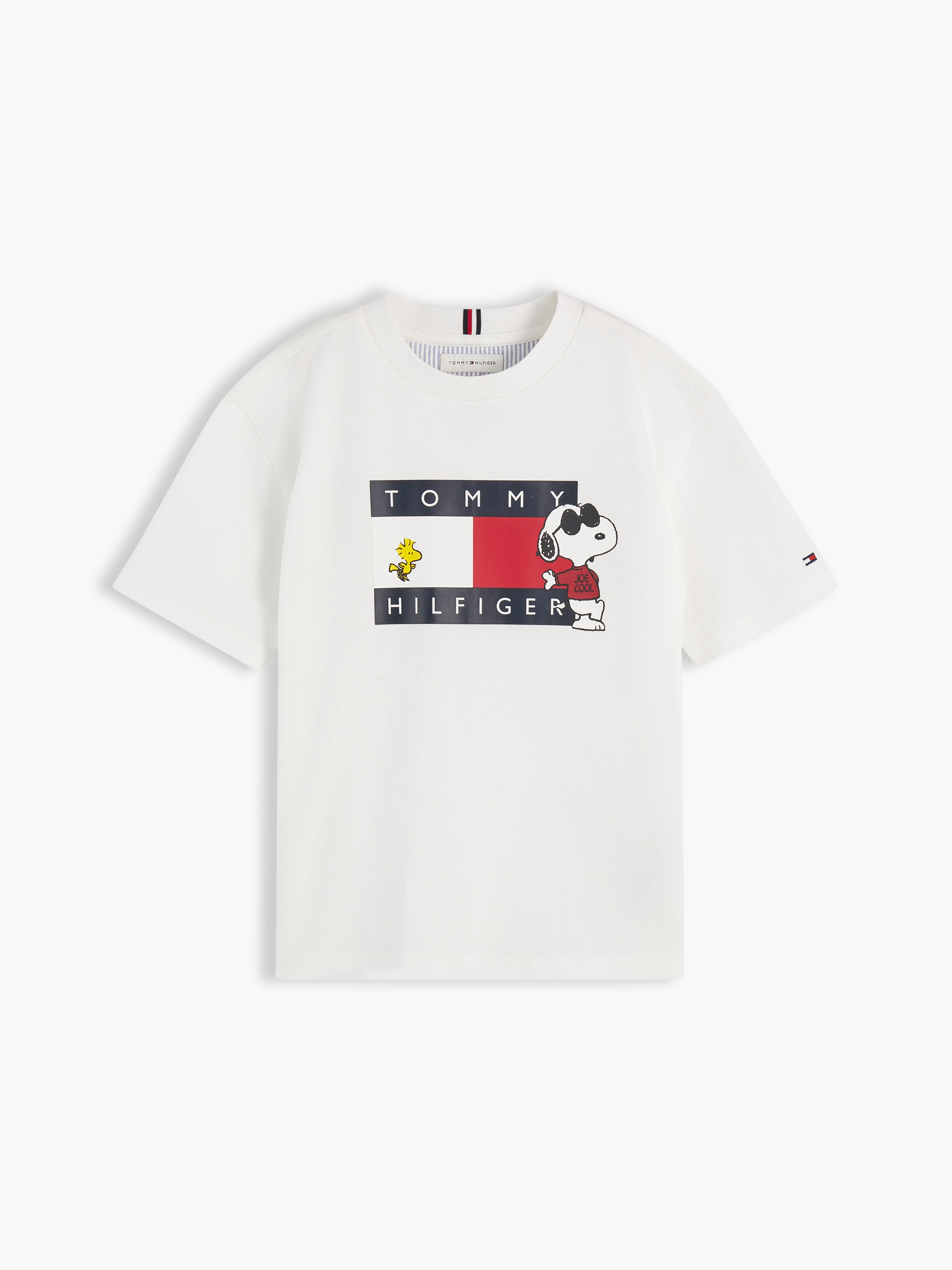 Kids Unisex 3-7 Peanuts Flag Graphic Jersey T-Shirt