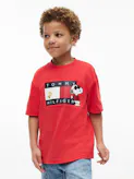 Kids Unisex 8-16 Peanuts Flag Graphic Jersey T-Shirt