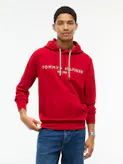 Tommy Logo Hoodie