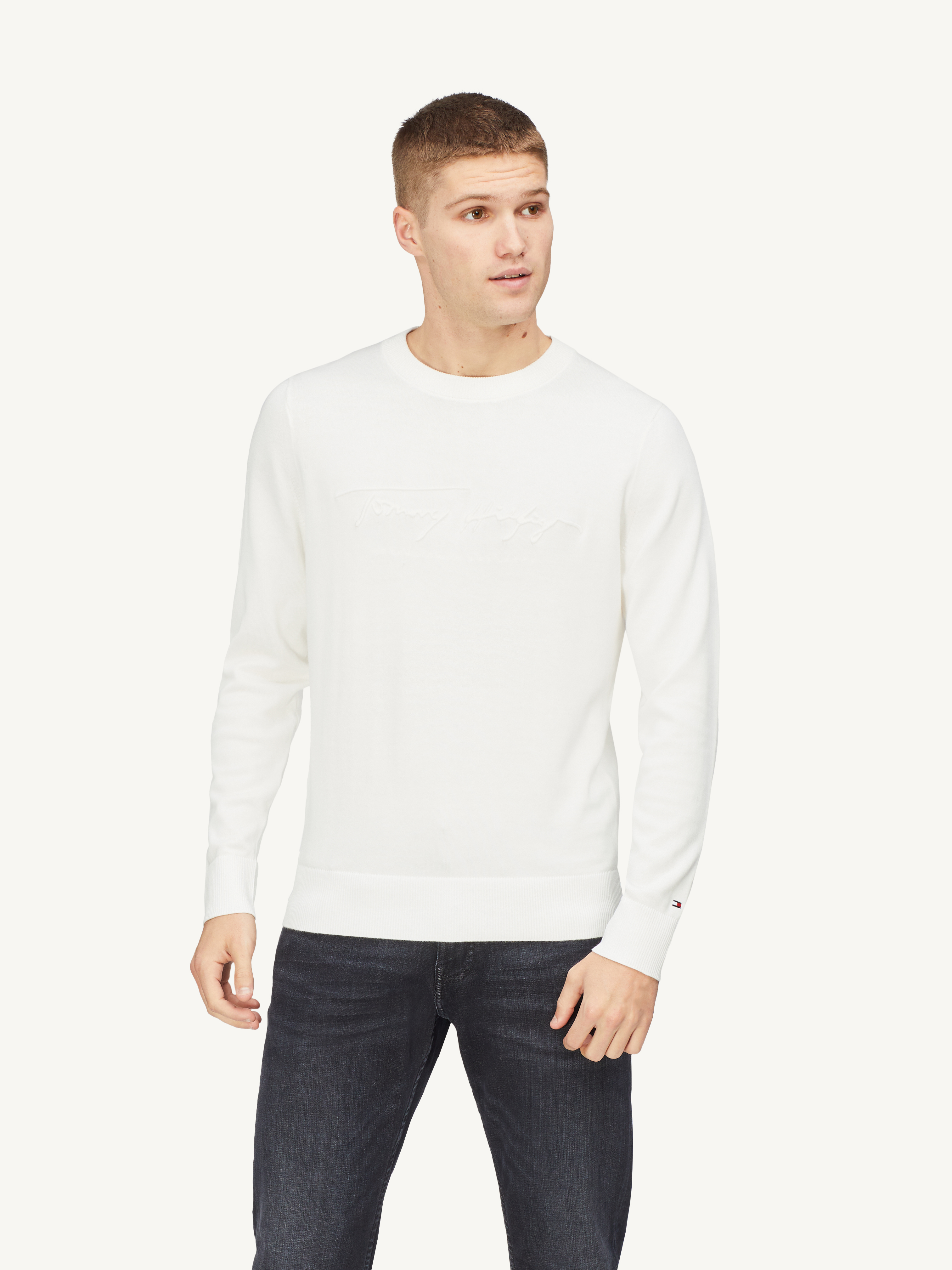 tommy hilfiger tonal autograph sweater