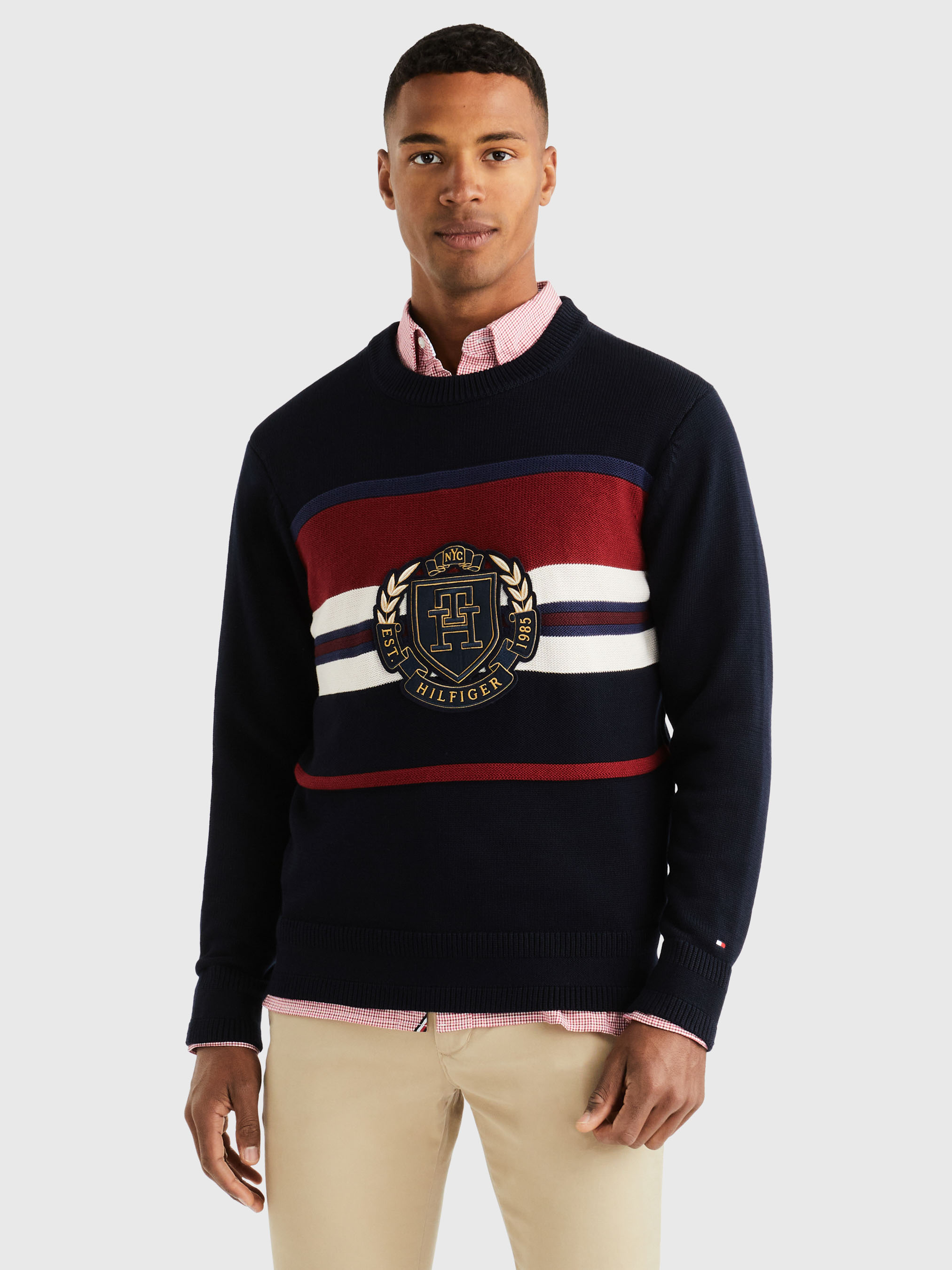 Tommy hilfiger sale jumper crew neck