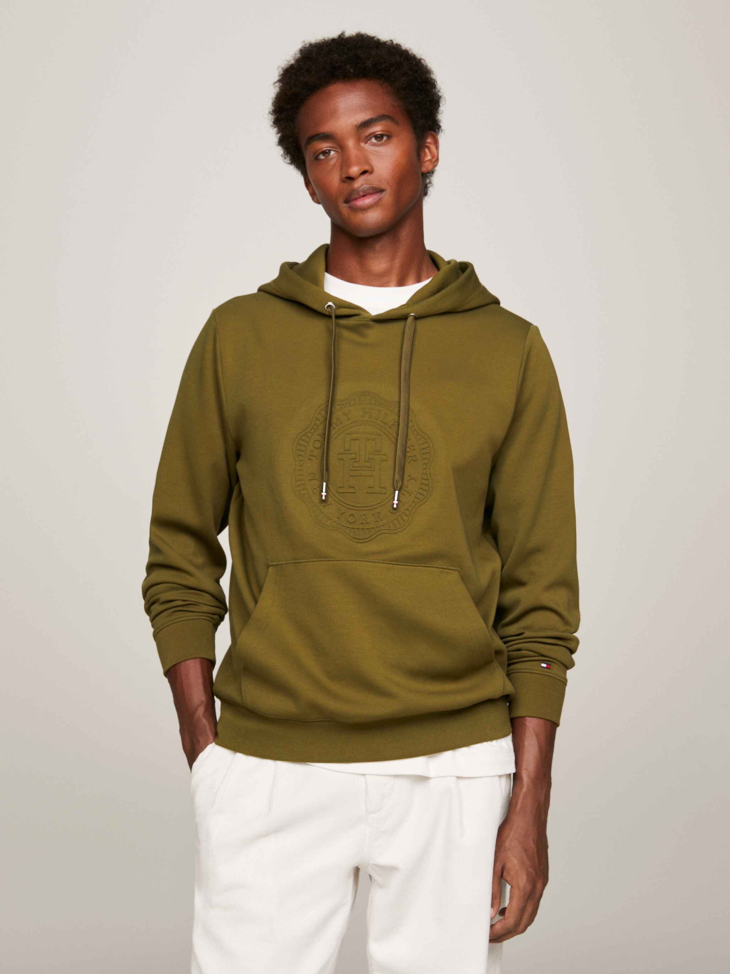 Tommy hilfiger sale hoodies mens sale