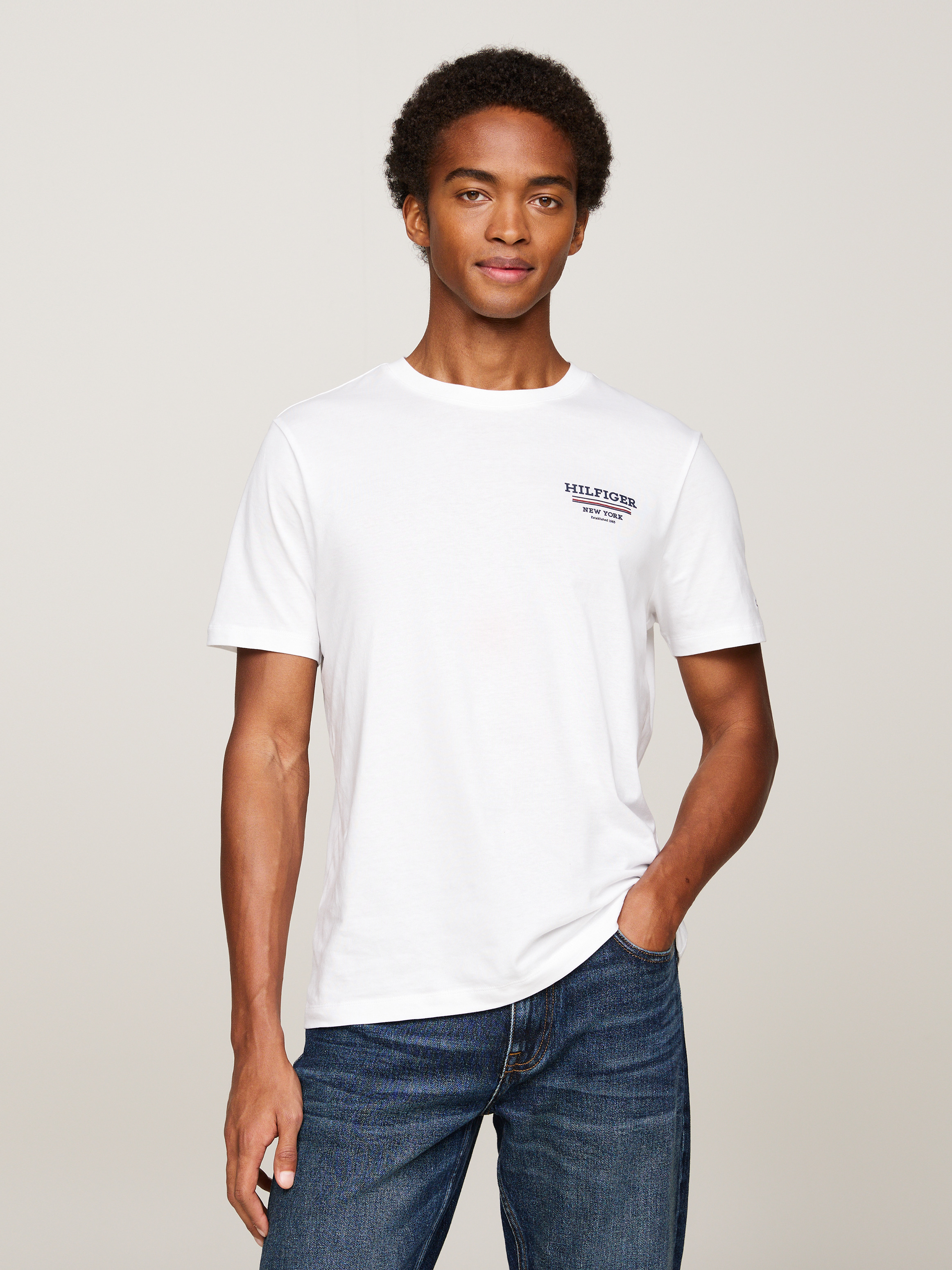 Global Stripe Logo T-Shirt | T-Shirts | Tommy Hilfiger