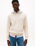 Flag Embroidery Terry Hoodie