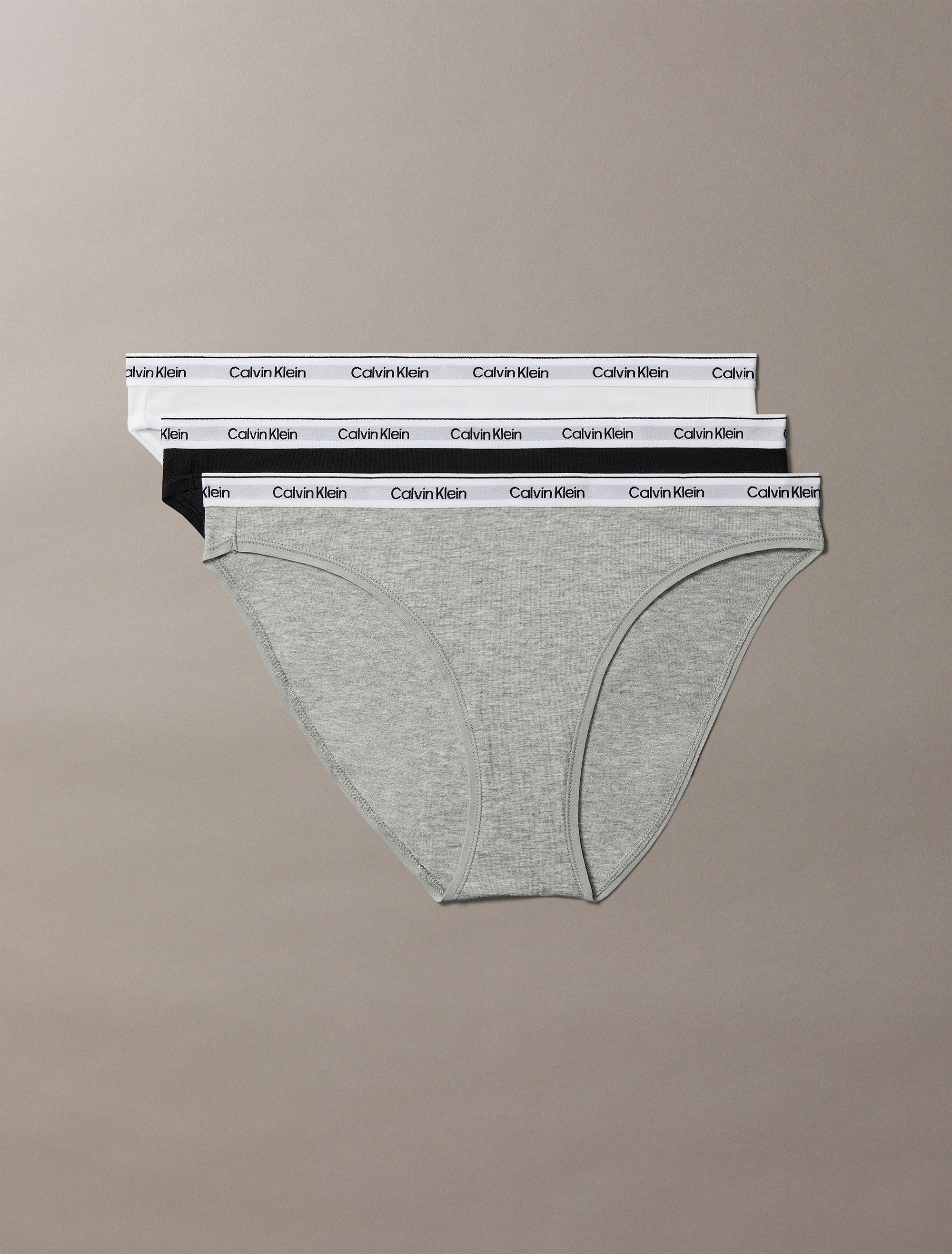 Icon Logo 3 Pack Bikini Briefs