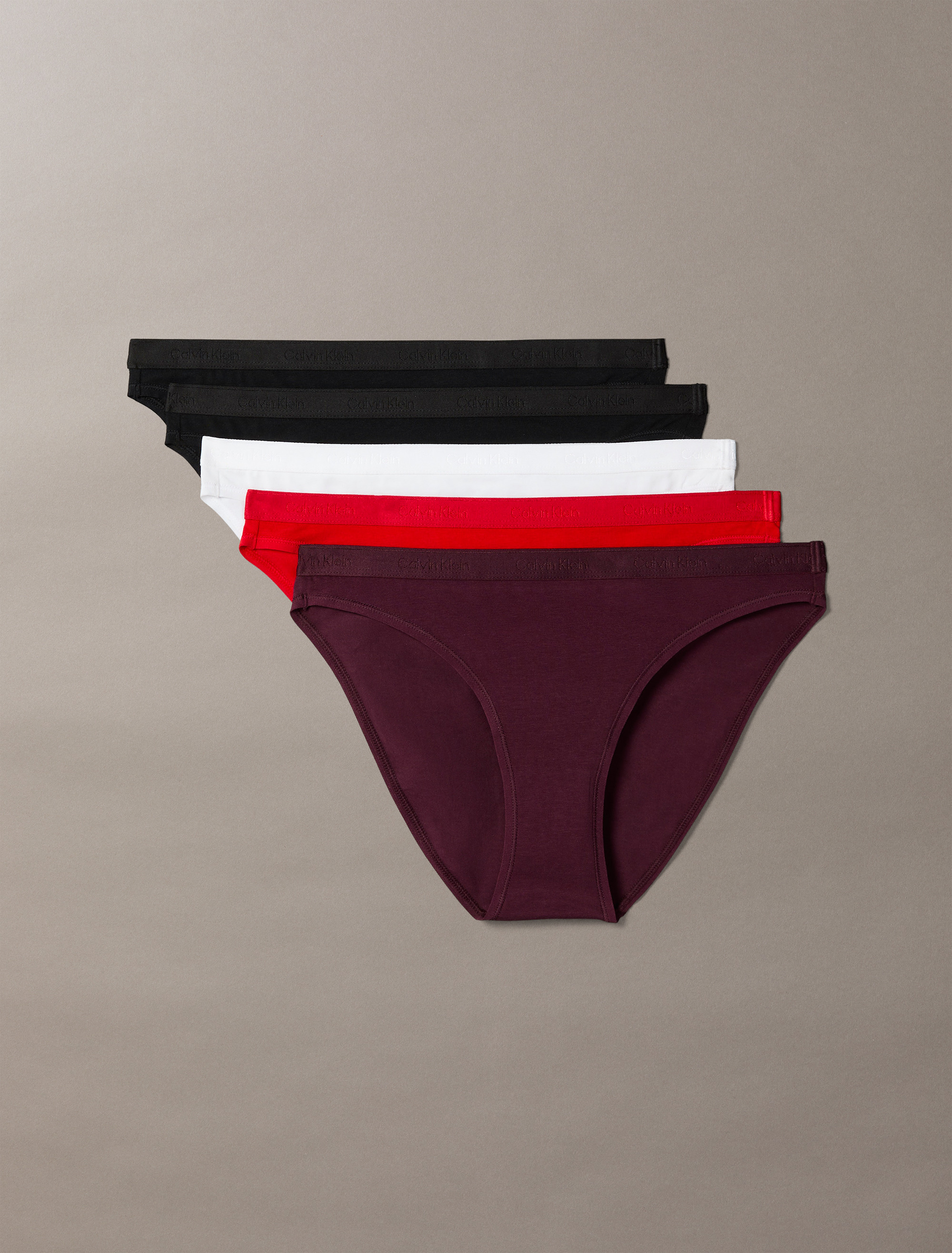 Icon Logo 5-Pack Bikini Brief