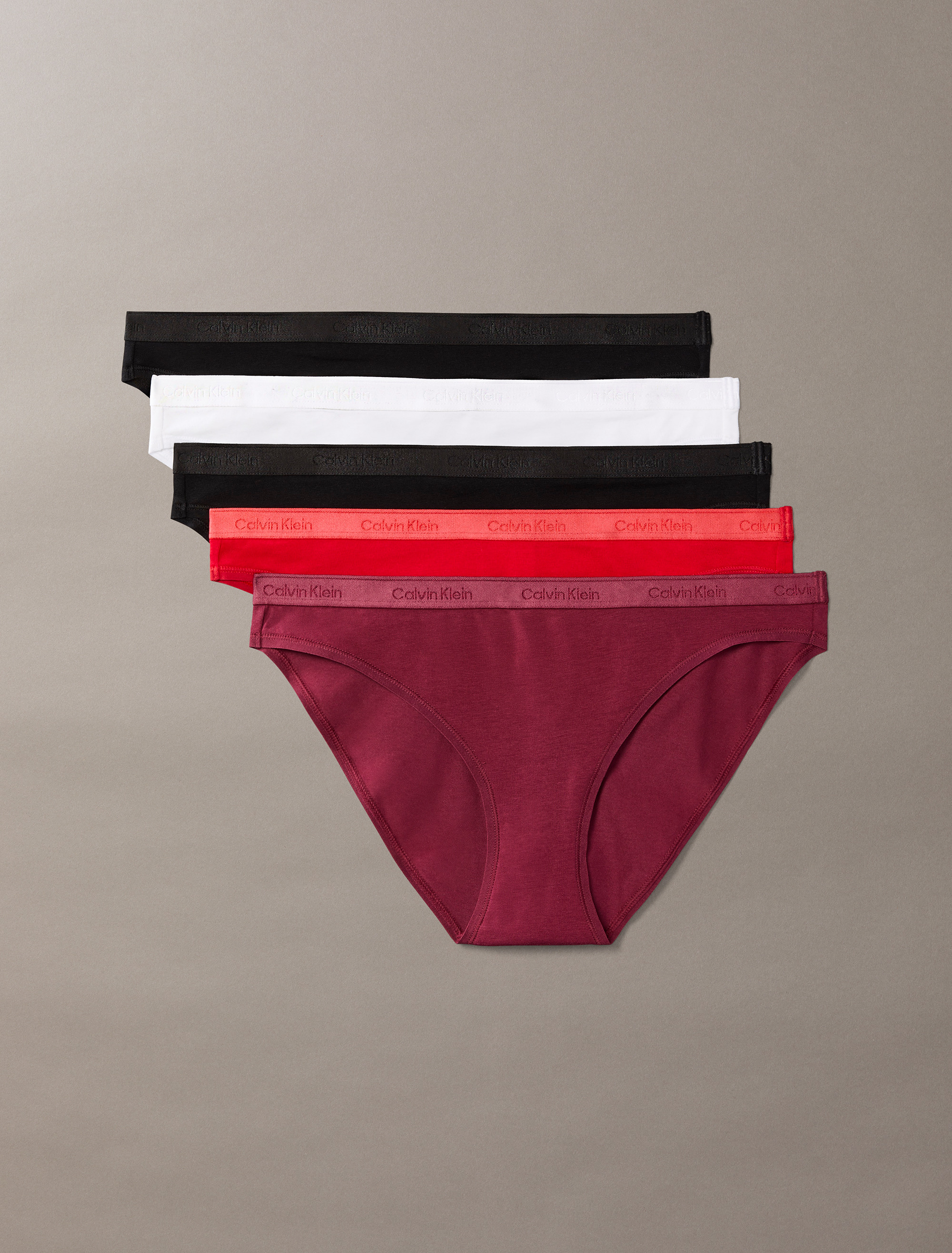 Icon Logo 5-Pack Bikini Briefs