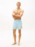 Ithaca Stripe Mid Length Swim Shorts