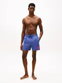 Ithaca Stripe Mid Length Swim Shorts