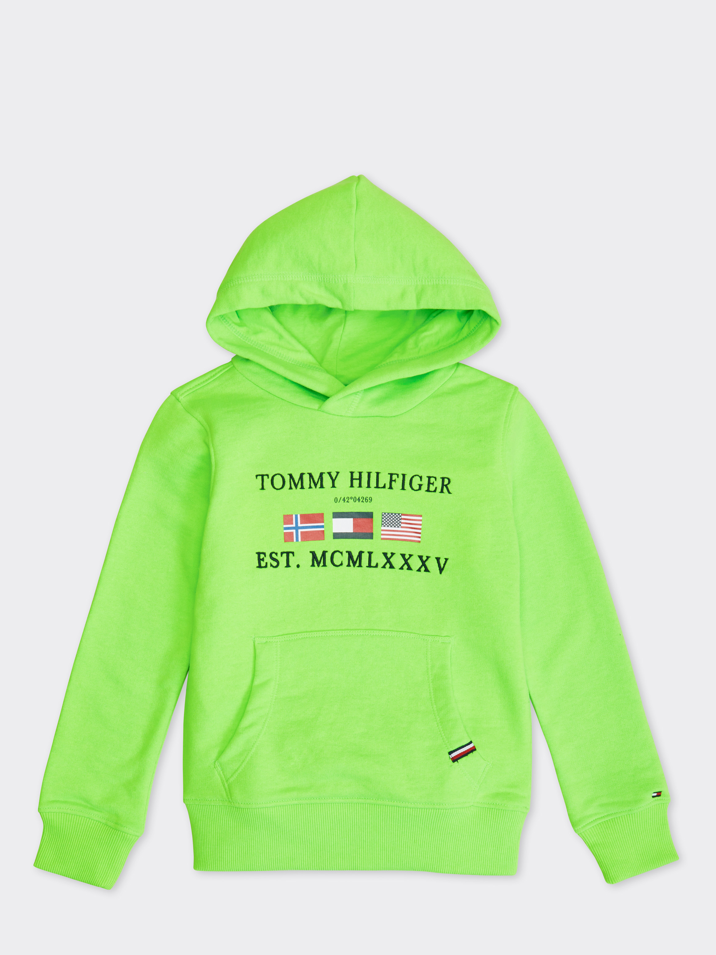 Tommy hilfiger best sale artwork hoodie