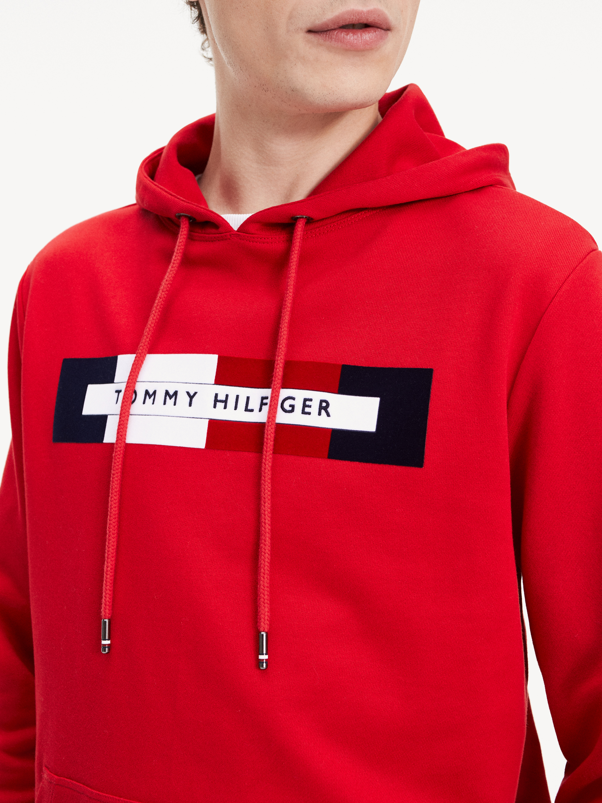 Hoodies tommy hilfiger sale hotsell