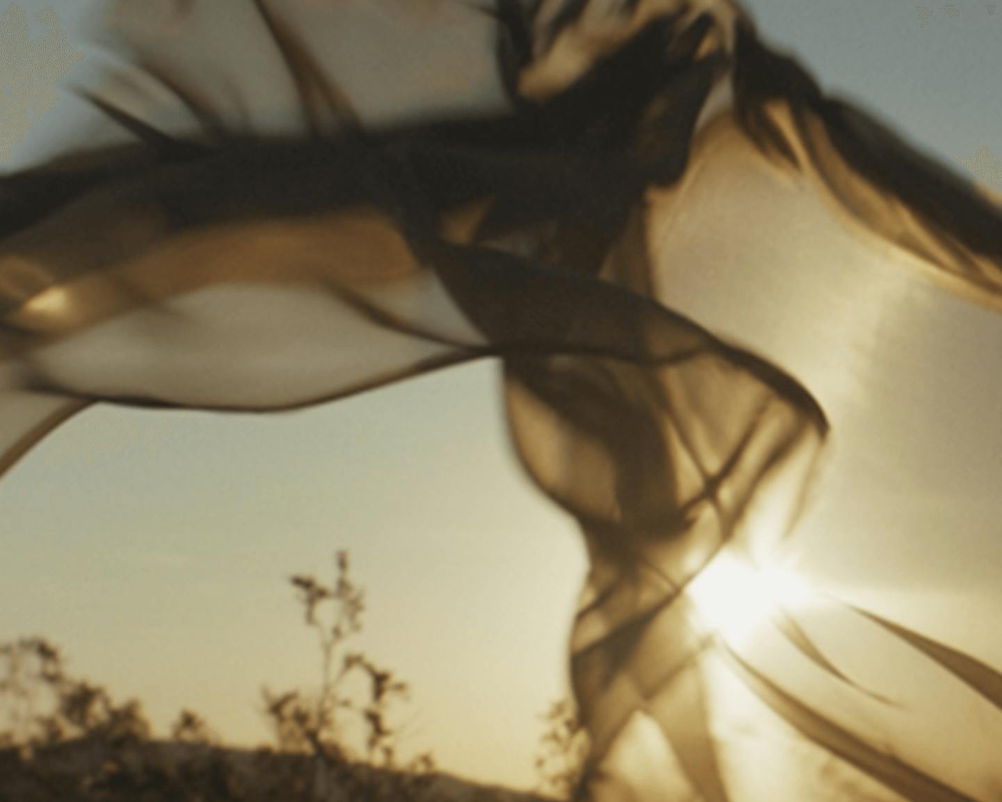 Inclusion_and_Diversity_Split_Module_01_1440x1152px