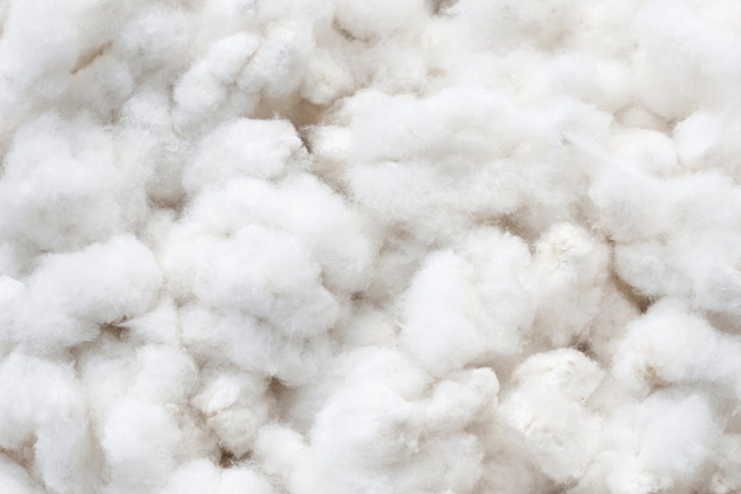 Materials_and_Innovation_Glossary_Module_Cotton_1080x720